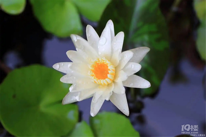 人生有八大經(jīng)典的理念: