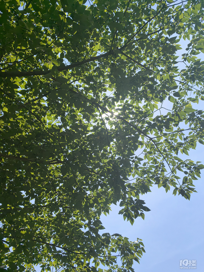 5月19日下午好