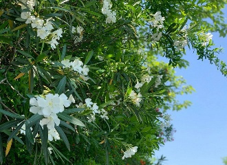 緊急提醒！杭州街頭已出現(xiàn)