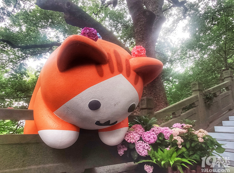 [ŏD]+