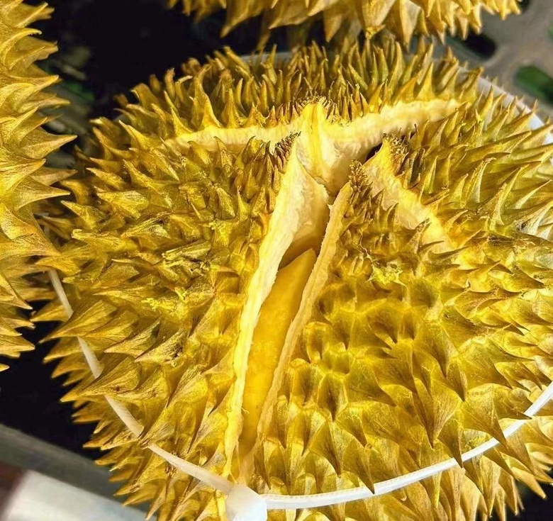 ː۳Եĸߙnζr(ji)_ϟr(ji)sˮ6