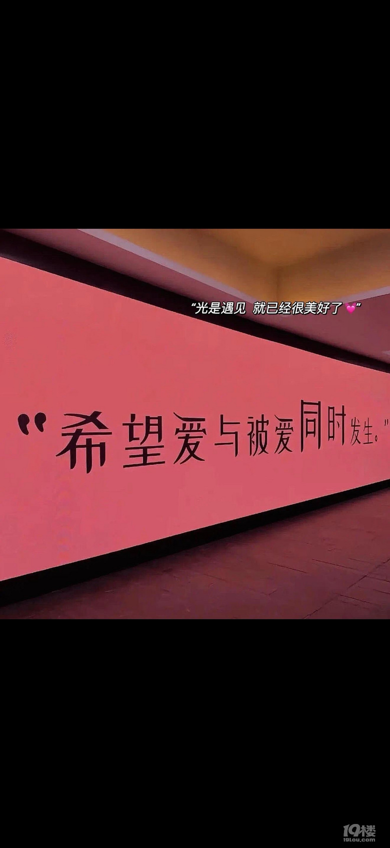 期待遇见你