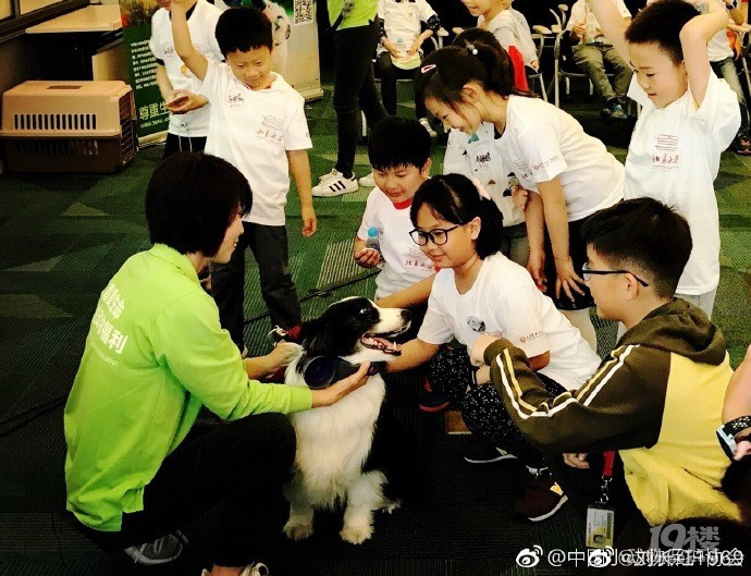 正常人的思维难道不是首先同情孩子吗？