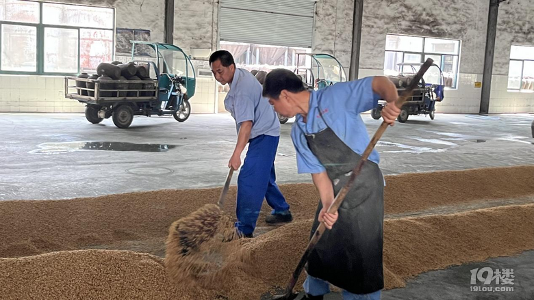 走进下沙酒厂 解码酿造科学——景苑学科实践进行时