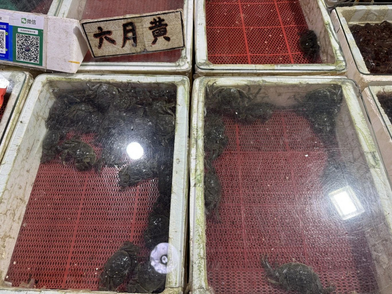 rУຼ궼@һϰ壺ٵȵȣr(ji)߀(hu)