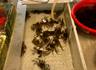 抢鲜上市！不少人年年都馋这一口