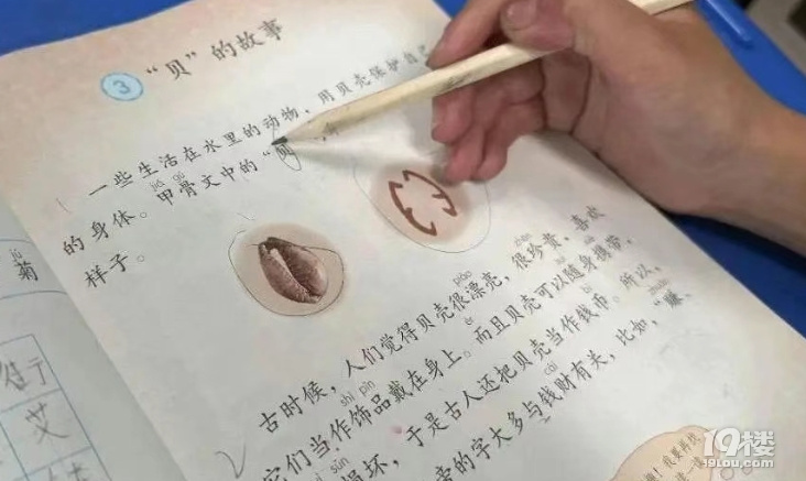 二年級(jí)男孩指出課本錯(cuò)誤,人教社回復(fù)!