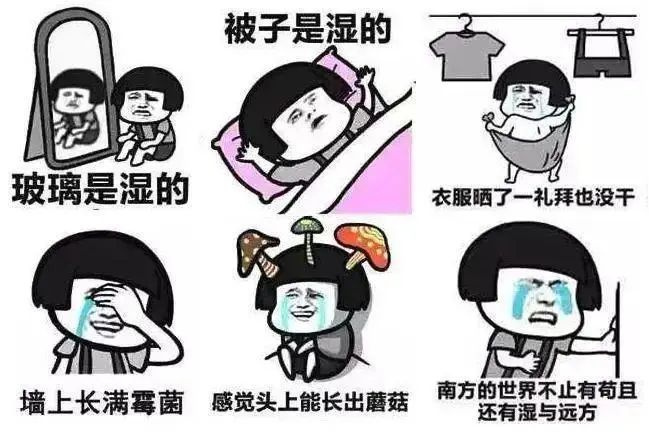 突然暴涨！杭州老板梅雨季忙疯！近年太爆火…