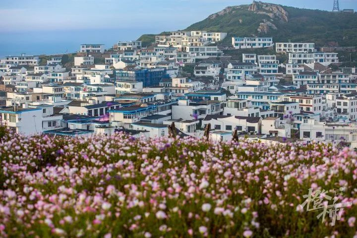 突然火了!浙江最北端“孤岛”,年轻人扎堆领证、定居