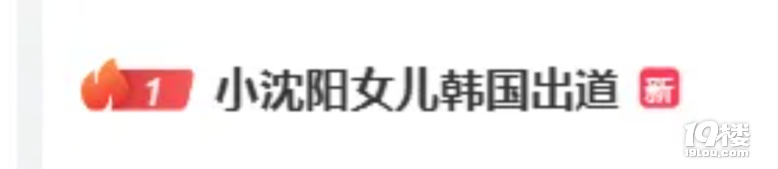 小沈阳女儿将在韩国以kpop歌手身份出道，曾被长期网暴