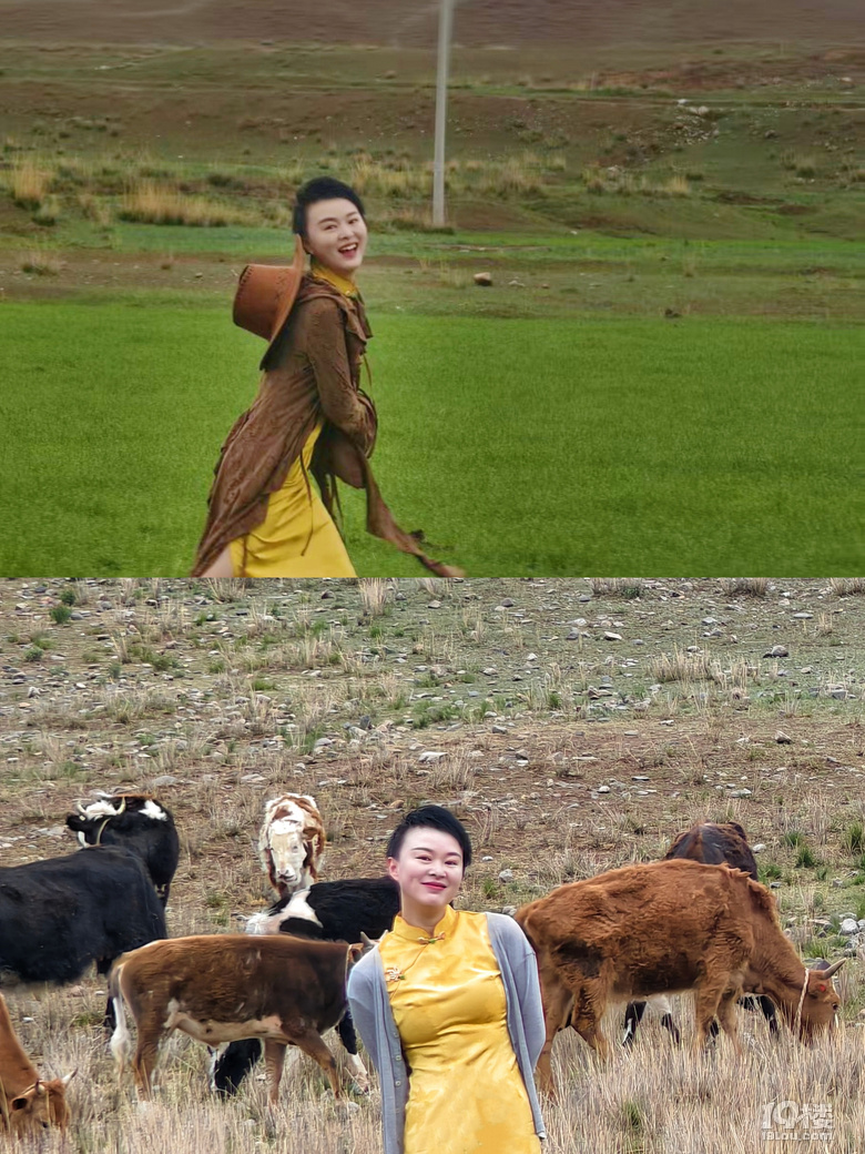 走进甘南秘境-自驾攻略