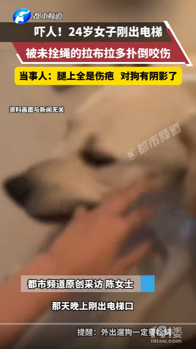 女子遭大型犬撕咬10分钟主人未现身