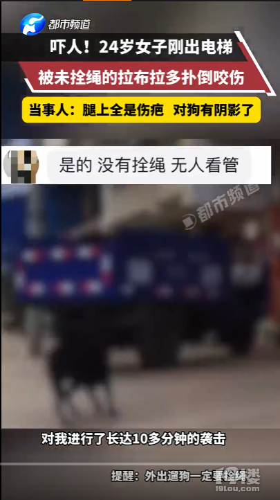 女子遭大型犬撕咬10分钟主人未现身