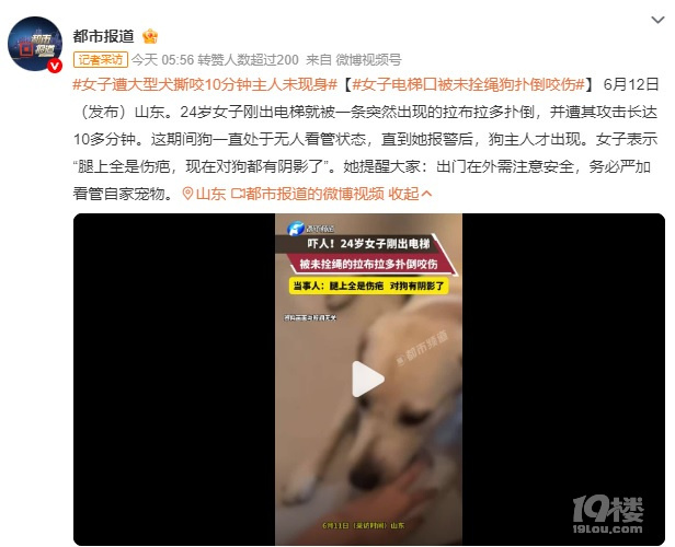 女子遭大型犬撕咬10分钟主人未现身
