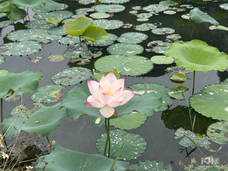 5月的广西自驾，从后悔到庆幸。