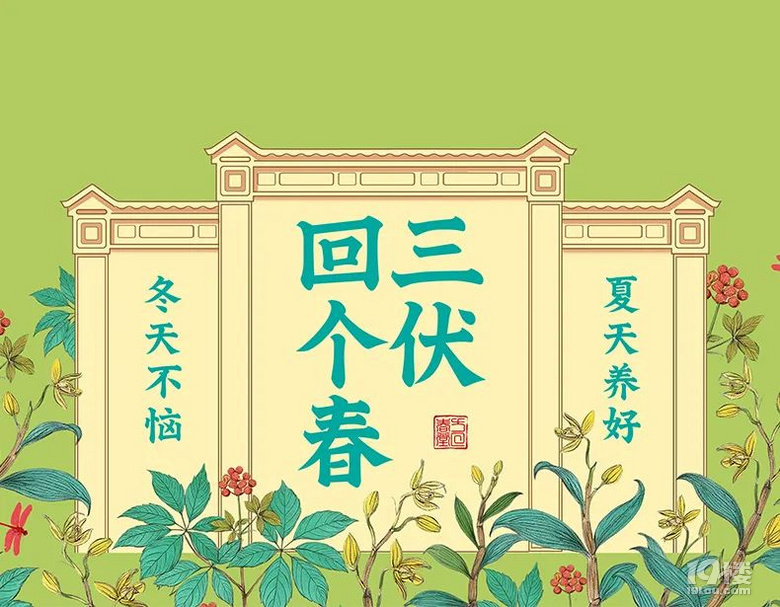 三伏貼丨19.9元搶先購,早調理早受益!