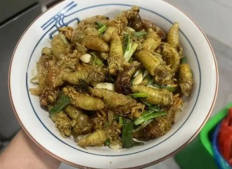 最近好多人一到晚上就出动