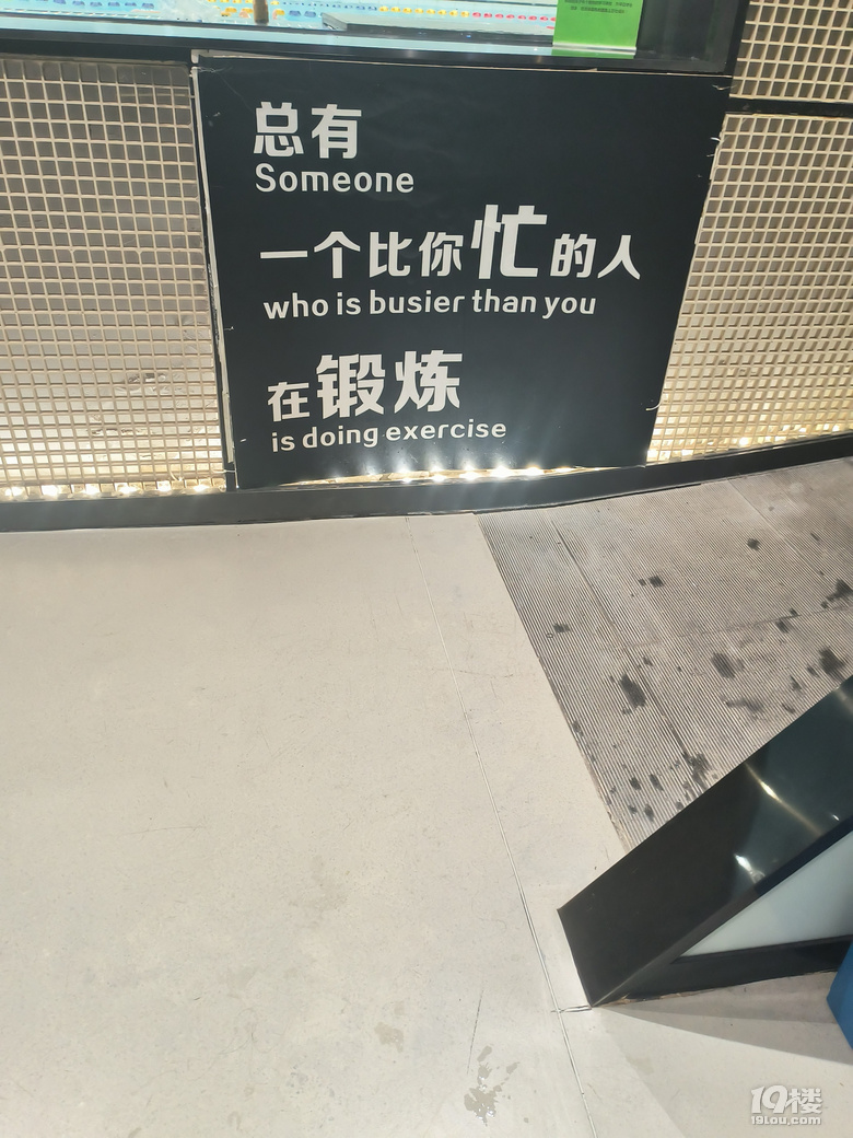 ϲg