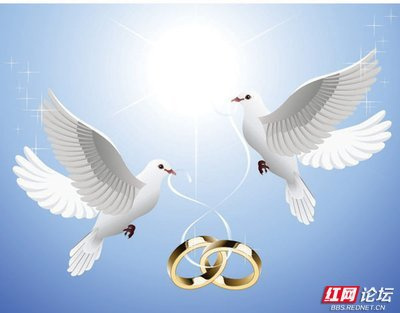 ƷıԊ