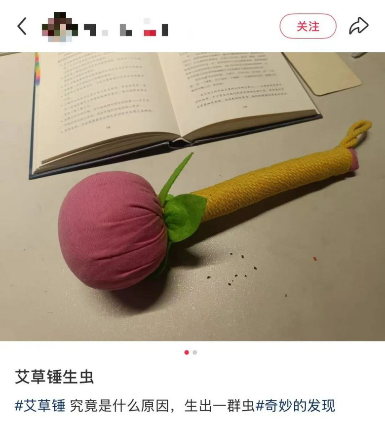 會(huì)飛、會(huì)爬,不少人家中出現(xiàn):頭皮發(fā)麻!床上都有!發(fā)現(xiàn)它立刻扔