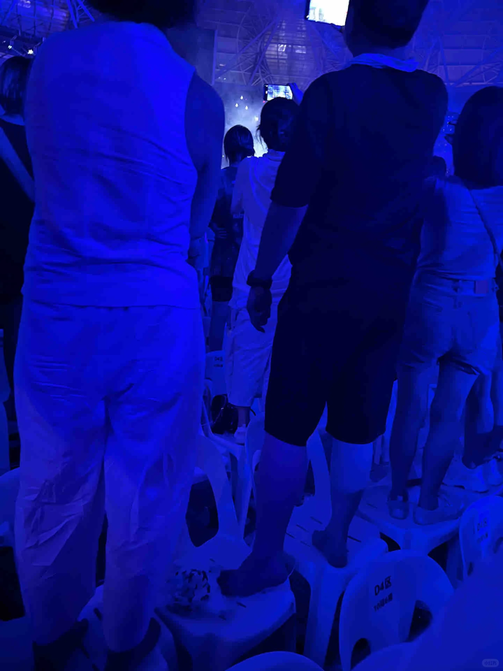 杭州謝霆鋒演唱會(huì),一對(duì)男女一直站著不肯坐下,引起公憤