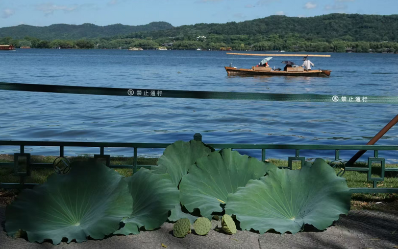 凌晨3點(diǎn)就來西湖排隊(duì)!今早大批杭州人出動!10元一份