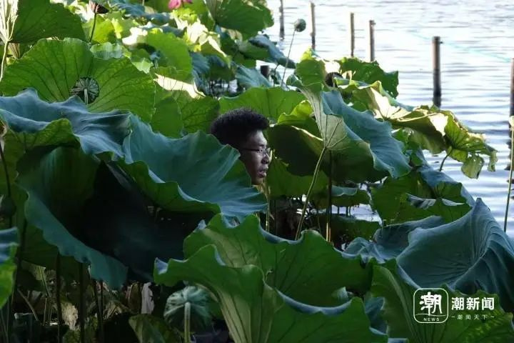 凌晨3點(diǎn)就來西湖排隊(duì)!今早大批杭州人出動!10元一份