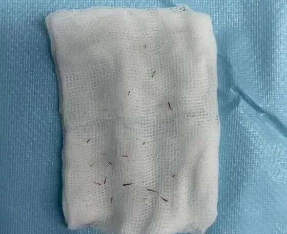 һ۱19t(y)oѣÿ9¸߰l(f)