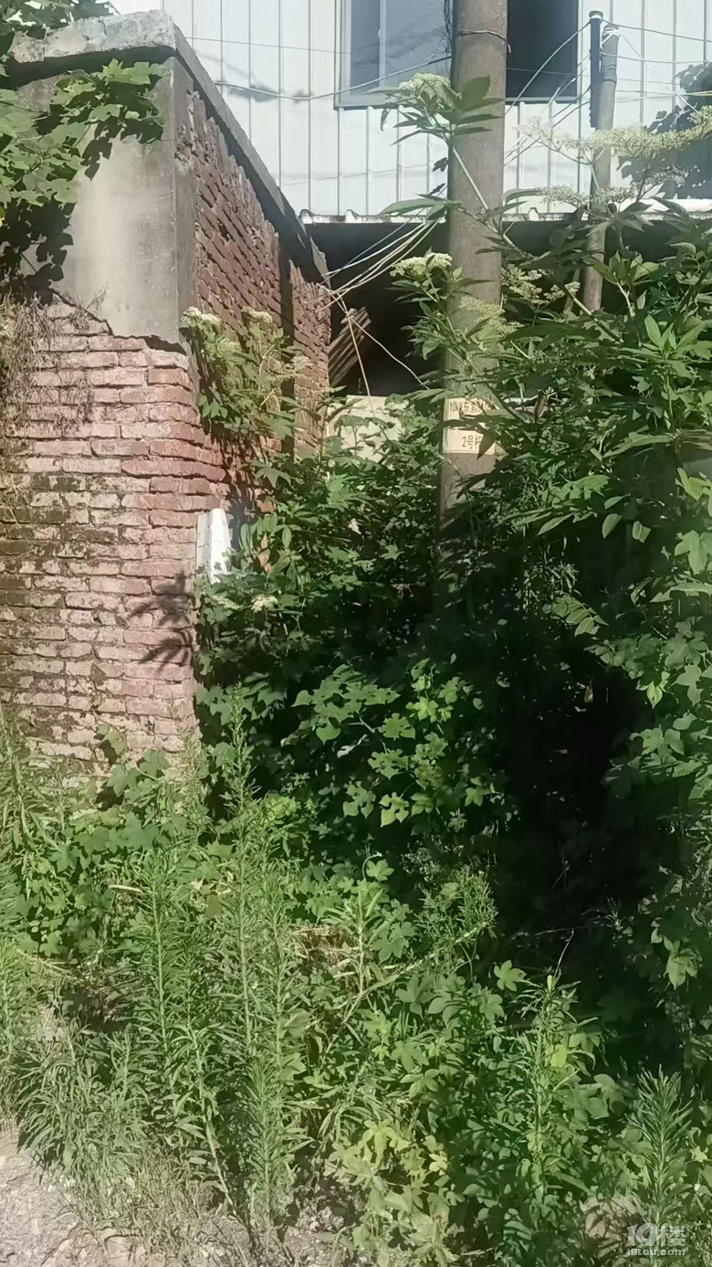 Դ܇늘