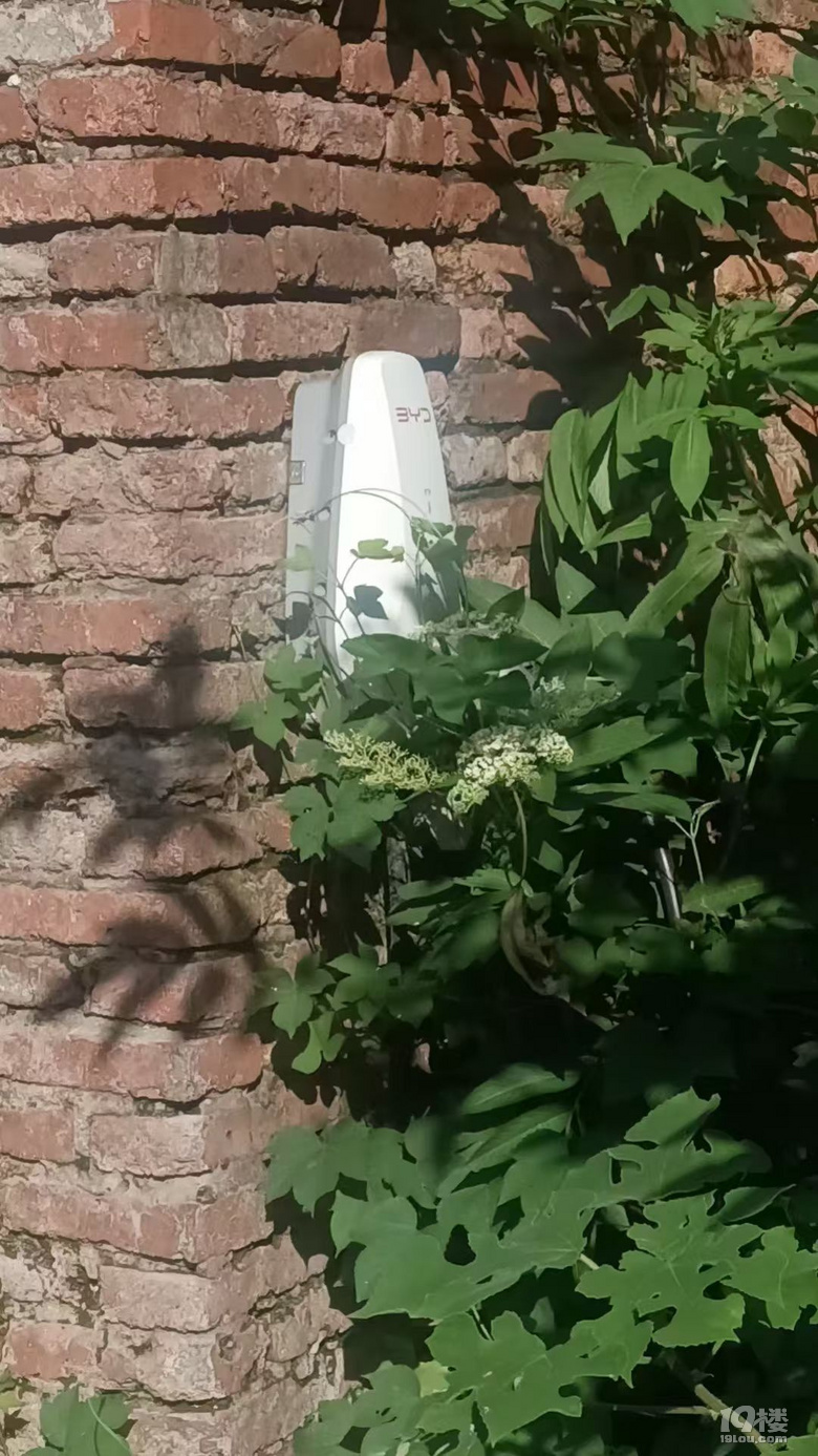 Դ܇늘