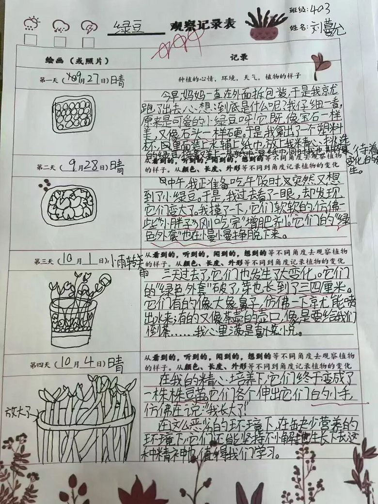 “笑死了,長假一群人帶著綠豆游遍祖國!”有的跑了2000公里