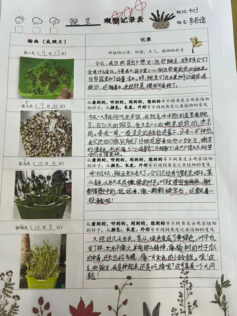 “笑死了,長假一群人帶著綠豆游遍祖國!”有的跑了2000公里