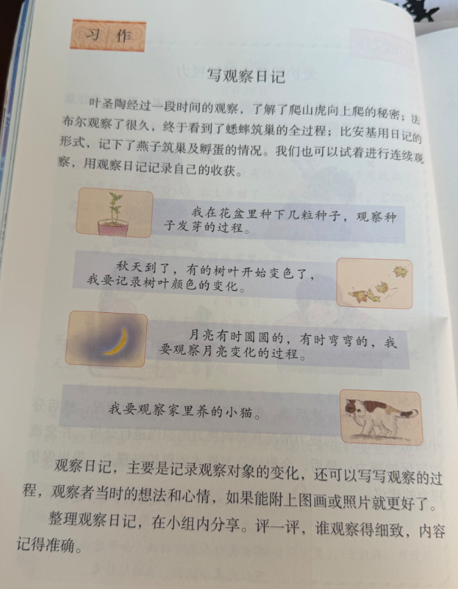 “笑死了,長假一群人帶著綠豆游遍祖國!”有的跑了2000公里