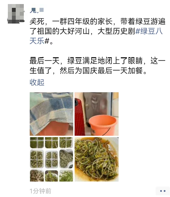 “笑死了,長假一群人帶著綠豆游遍祖國!”有的跑了2000公里