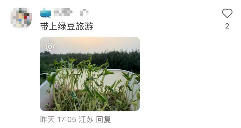 “笑死了,長假一群人帶著綠豆游遍祖國!”有的跑了2000公里