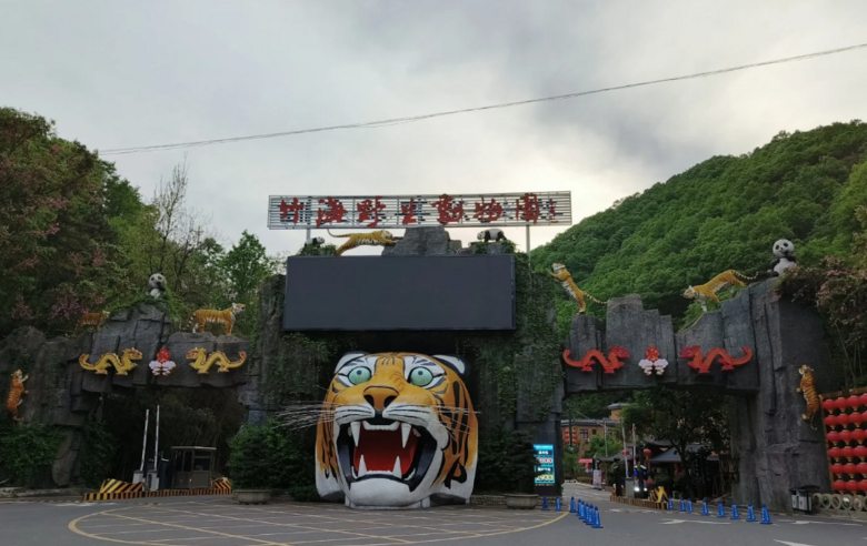 一動(dòng)物園月薪5萬尋找“最猛司機(jī)”:開車進(jìn)虎山熊窩,直面怒吼;