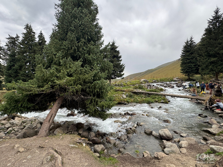 【2025曬游記】暑假新疆伊犁親子自駕游攻略