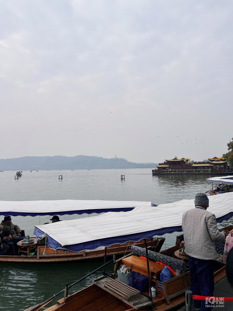 杭州的民间米其林—知味观2026年新品糕点测评