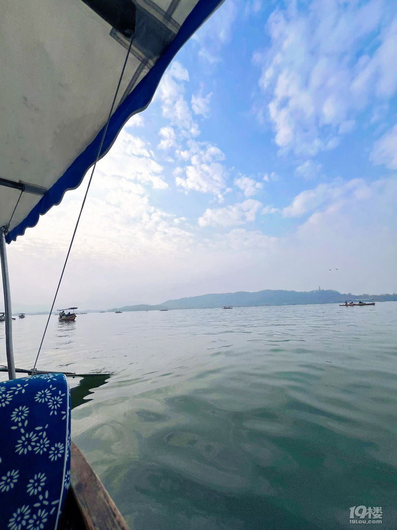 杭州的民间米其林—知味观2026年新品糕点测评