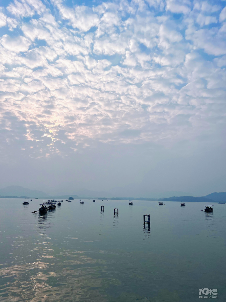 杭州的民间米其林—知味观2026年新品糕点测评