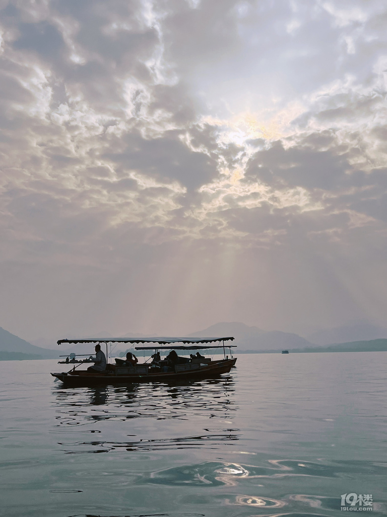 杭州的民间米其林—知味观2026年新品糕点测评