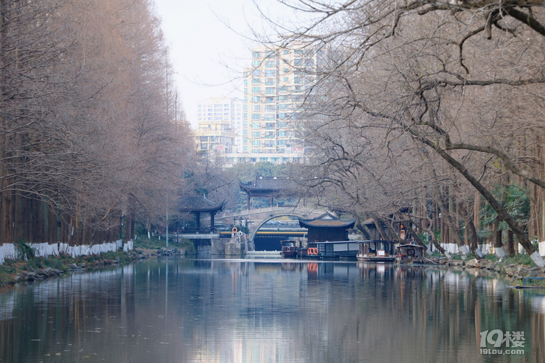 第一波梅花已上线，这棵树下围满了人……