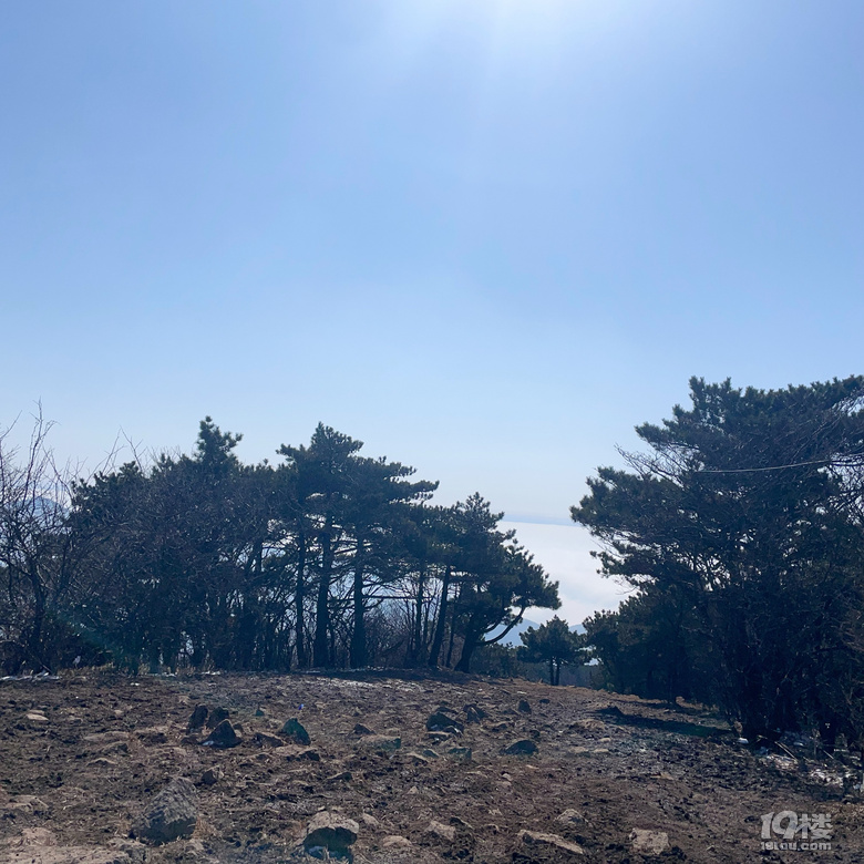 龙王山之行圆满完成