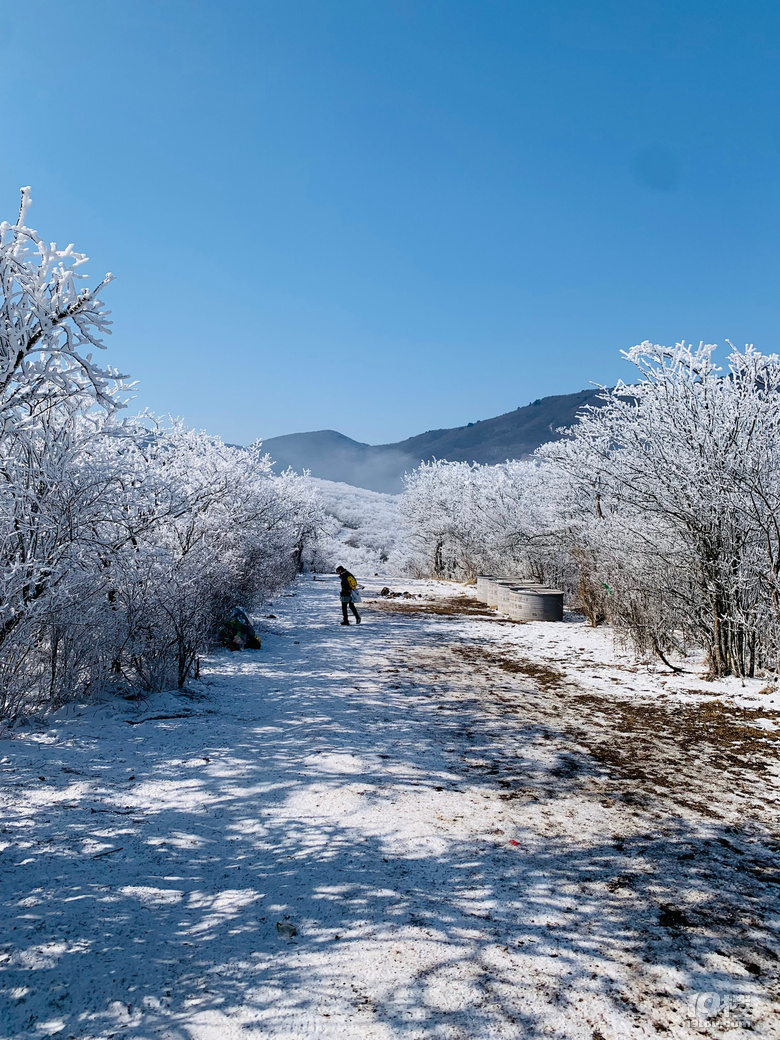 龙王山之行圆满完成