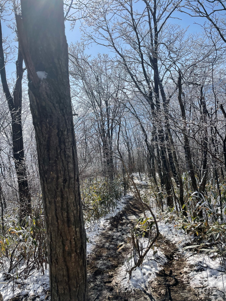龙王山之行圆满完成