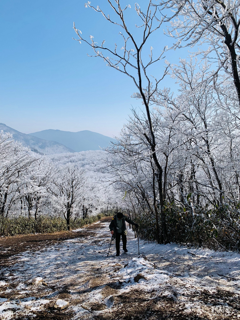 龙王山之行圆满完成