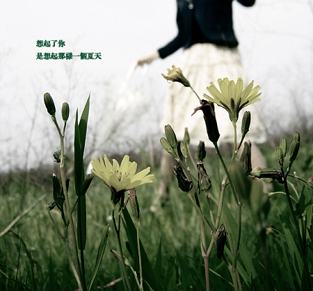 没有你的日子我真的好孤单