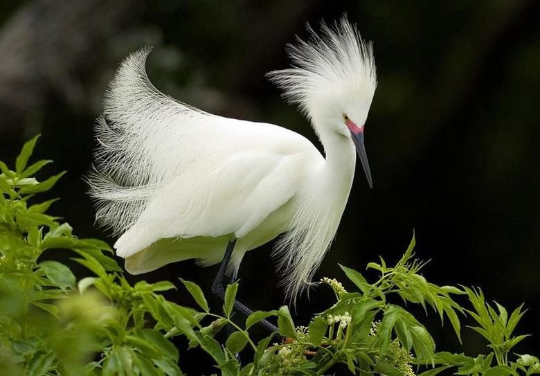 管他菜鸟还是小鸟,能飞的就是好鸟!