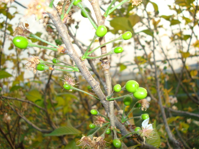 2017年班级亲子、公司员工活动行程方案-休闲