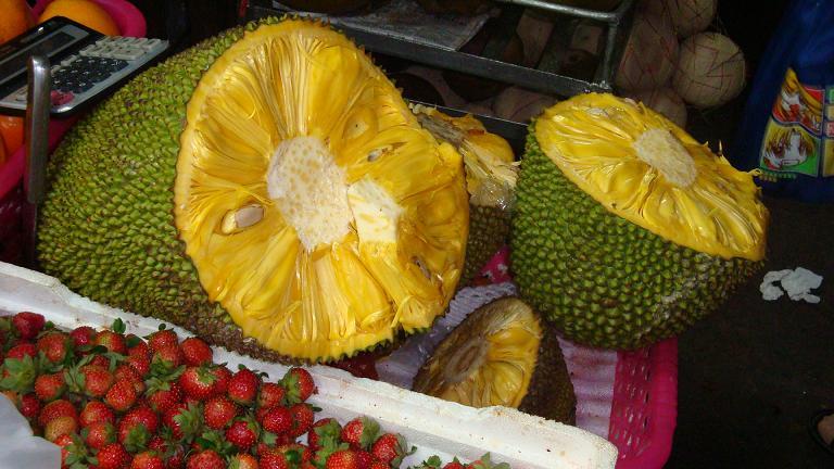 海南自游行--海口\/三亚8天8夜(3.28--4.5)新更了